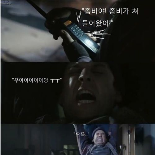 톰이 물렸어.jpg