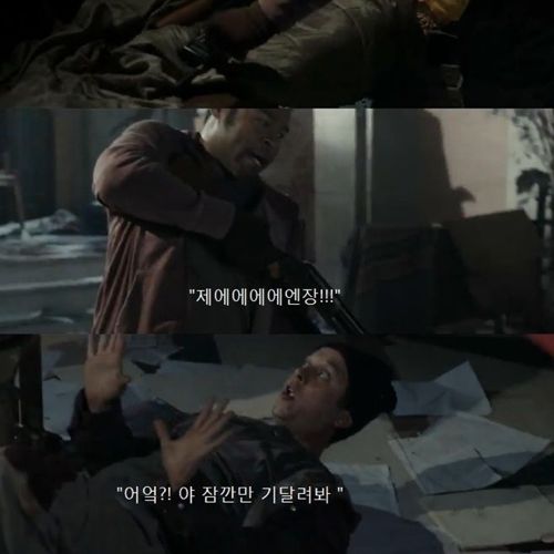 톰이 물렸어.jpg