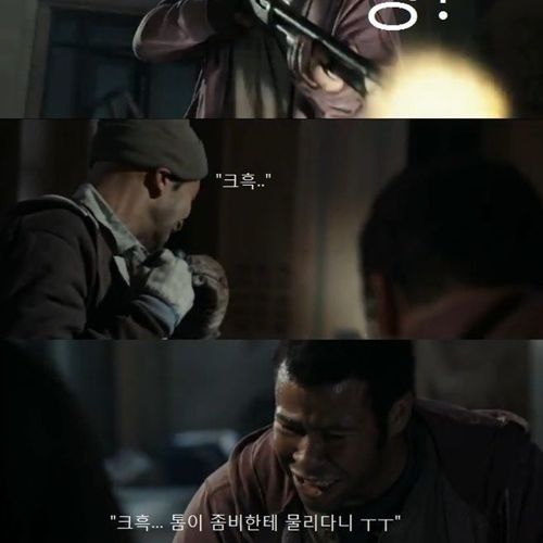 톰이 물렸어.jpg