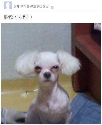 졸리면 자.jpg