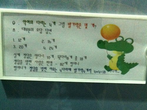악어의 발가락은 몇개?.jpg