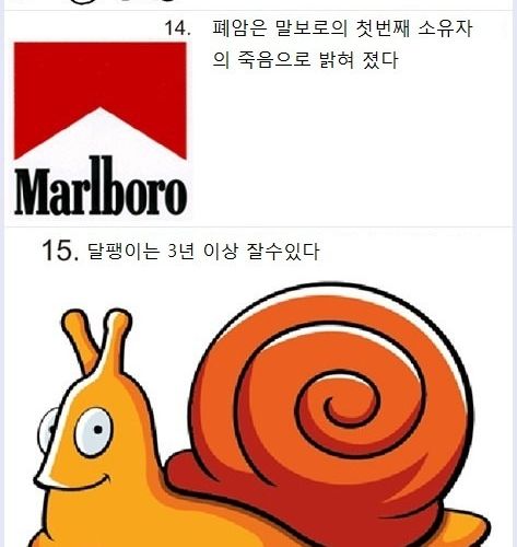 놀라운 사실들.jpg