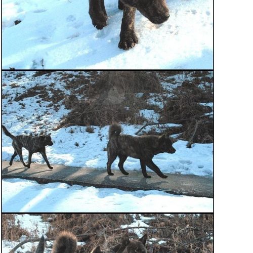 토종의 포스.jpg