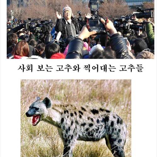 분노의 솔로대첩 후기.jpg
