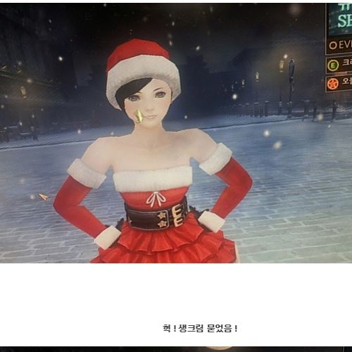크리스마스 가지가지로 즐기기