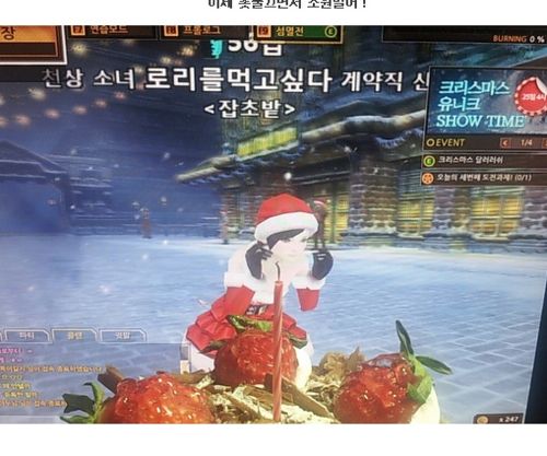 크리스마스 가지가지로 즐기기