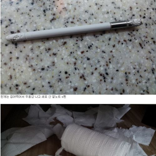 혈압오르는 만행.jpg
