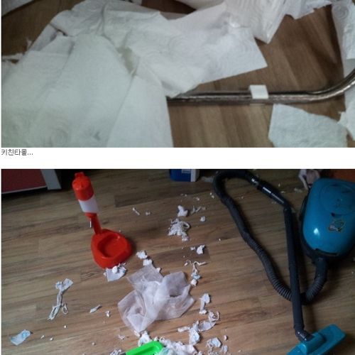 혈압오르는 만행.jpg