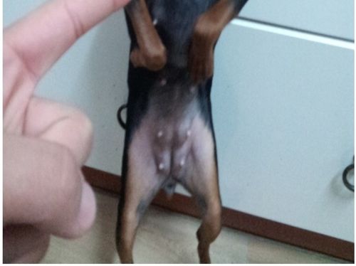 혈압오르는 만행.jpg