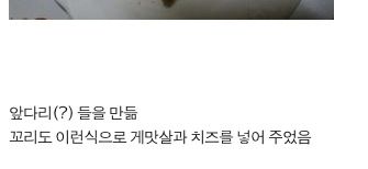 랍스타가 먹고싶었던 여대생.jpg