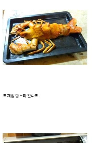 랍스타가 먹고싶었던 여대생.jpg