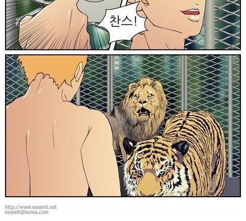 사람vs호랑이.jpg