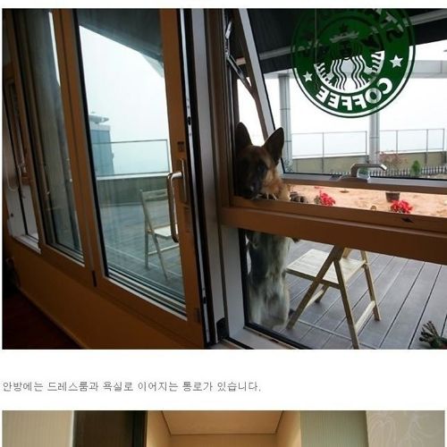 [스압]어느 처자의 집 인증.jpg 