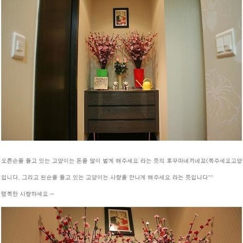 [스압]어느 처자의 집 인증.jpg 