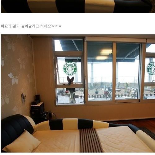 [스압]어느 처자의 집 인증.jpg 