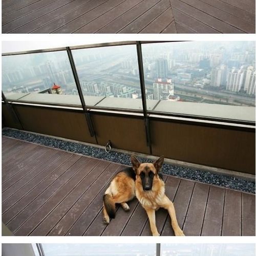 [스압]어느 처자의 집 인증.jpg 