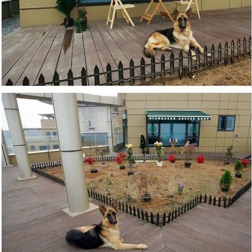 [스압]어느 처자의 집 인증.jpg 