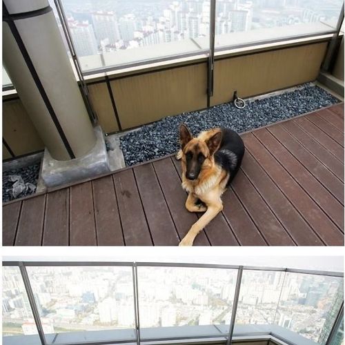 [스압]어느 처자의 집 인증.jpg 