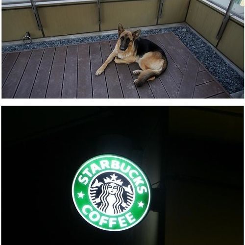 [스압]어느 처자의 집 인증.jpg 