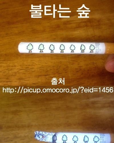 영 피우기 껄끄러운 담배.jpg