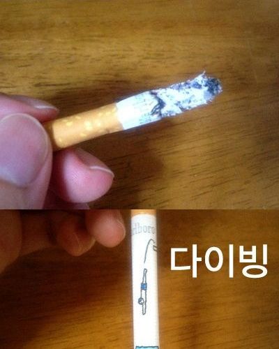 영 피우기 껄끄러운 담배.jpg