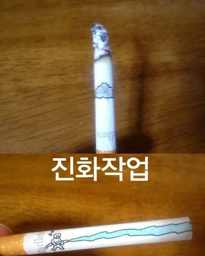 영 피우기 껄끄러운 담배.jpg