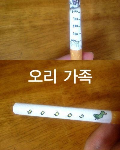 영 피우기 껄끄러운 담배.jpg