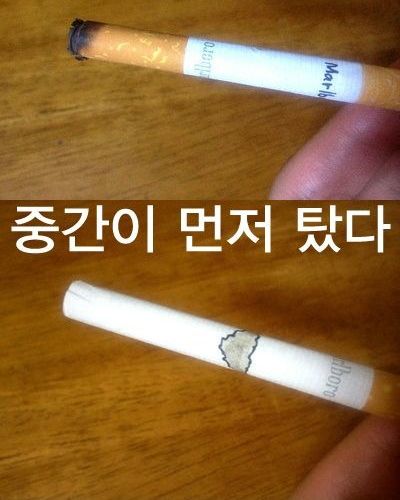 영 피우기 껄끄러운 담배.jpg