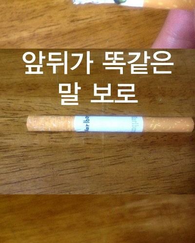 영 피우기 껄끄러운 담배.jpg