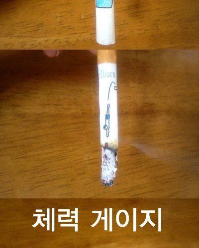 영 피우기 껄끄러운 담배.jpg