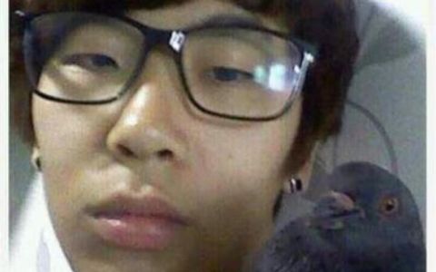 비둘기 남.jpg
