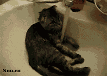 혼자서도 잘해요.gif
