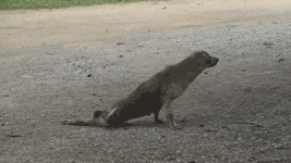 유주얼개스펙트.gif