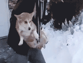 야 뛰어놀아.gif