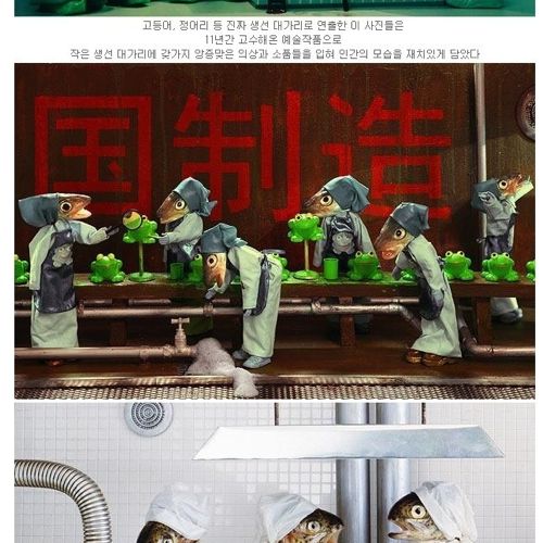 생선대가리로 만든 예술.jpg