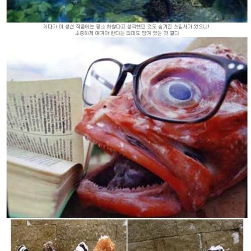 생선대가리로 만든 예술.jpg