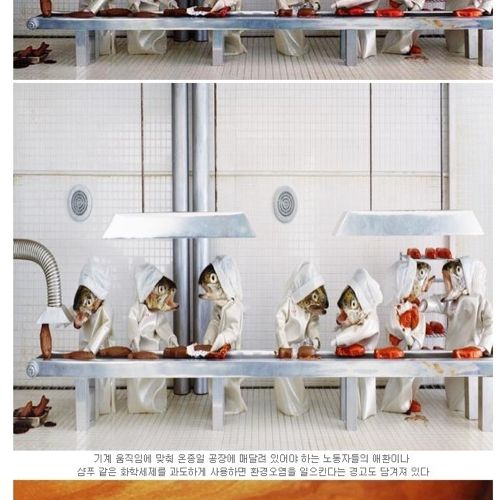 생선대가리로 만든 예술.jpg