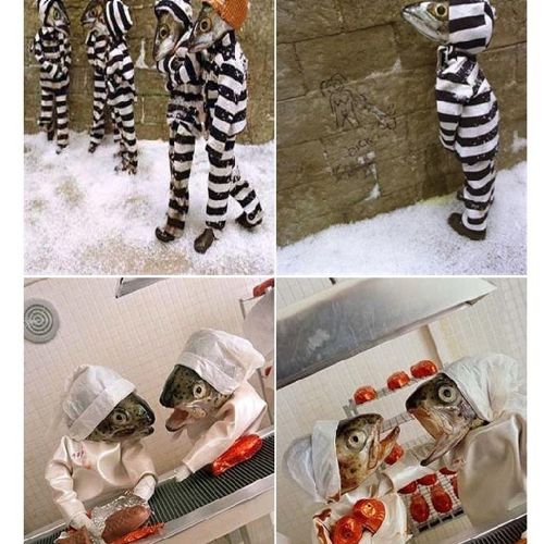 생선대가리로 만든 예술.jpg