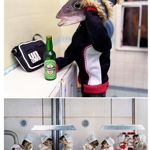 생선대가리로 만든 예술.jpg
