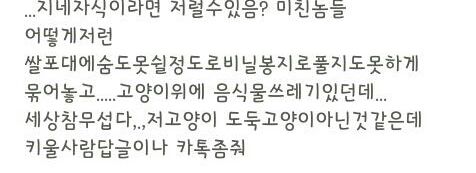 쓰레기통에 버려진 고양이.jpg