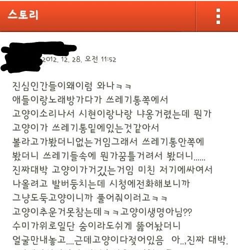 쓰레기통에 버려진 고양이.jpg