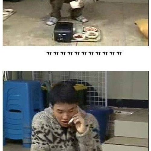 [초스압]배신자 작은누나.jpg