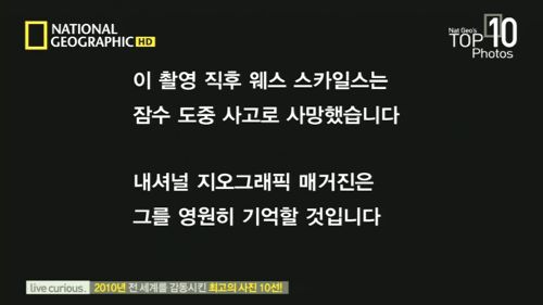 목숨과 맞바꾼 심해사진.jpg