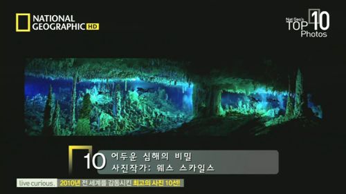 목숨과 맞바꾼 심해사진.jpg
