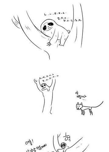 나무늘보 만화.jpg