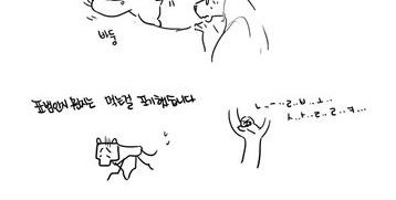 나무늘보 만화.jpg