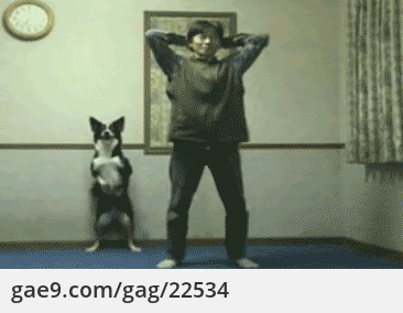 운동중.gif