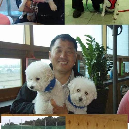 개를 다스리는 자.jpg