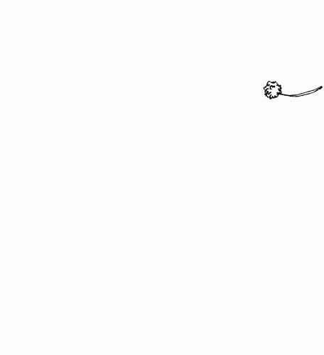 [스압]죽음에 관하여02.jpg