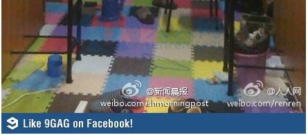 대륙의 기숙사 포커 게임.jpg